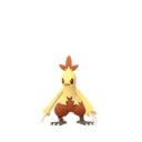 Combusken sprites gallery | Pokémon Database