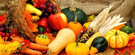 5 Best Crops to Harvest in the Fall – Welcome to Leslie Swindahl's Real Estate Blog