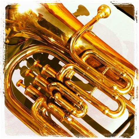 17 Best images about Euphonium on Pinterest | Pantomime, Bumble bees ...