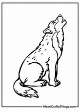 Wolf Howling Coloring Pages sketch template