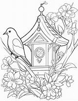 Birdhouse Dewasa Bestcoloringpagesforkids Colouring Mewarna Birdhouses  sketch template