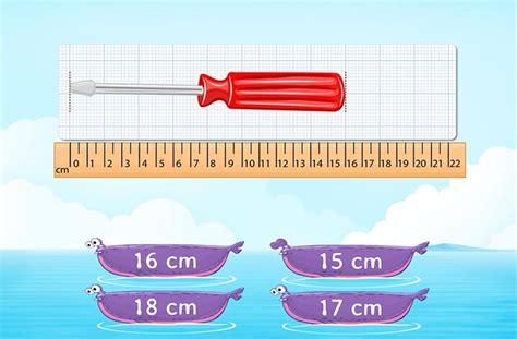 Free Online Measurement Games for Kids | SplashLearn