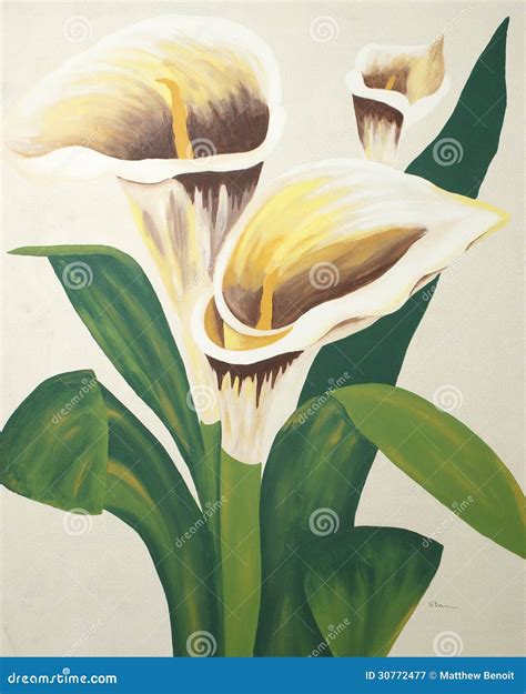 Calla Lilies Painting stock illustration. Illustration of blossom ...