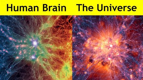Human Brain vs The Universe! - YouTube