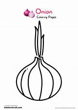 Onion Coloring Pages For Kids – Free Printables  Art & Craft sketch template