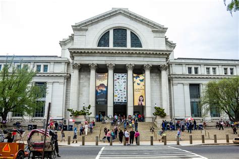 Smithsonian Natural History Museum image - Free stock photo - Public Domain photo - CC0 Images