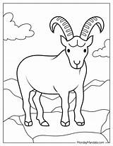 20 Goat Coloring Pages Free PDF Printables sketch template
