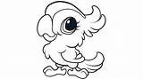 Printable Coloring Pages Parrots sketch template