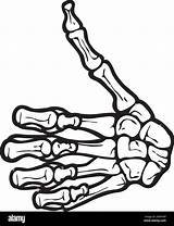 Left Skeleton Hand Drawing sketch template