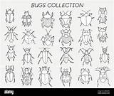Insect Flat Line icons Set Bugs Vector Illustrations coloring Book  sketch template