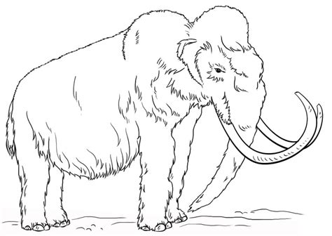 Woolly Mammoth coloring page - Download, Print or Color Online for Free