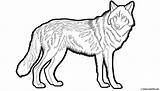 Coloriage Danimaux Sauvages  Le loup à Télécharger Ou Imprimer sketch template