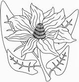 Magnolia Coloring Pages Printable For Free Download sketch template
