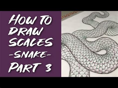 Episode 9: How to draw SCALES (Snake) - Part 3 - YouTube