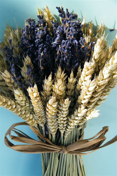 Dried lavender bouquet with wheat daisyshop.co.uk | Dried flower bouquet, Lavender bouquet ...