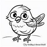 Mockingbird Coloring Pages  Free & Printable sketch template