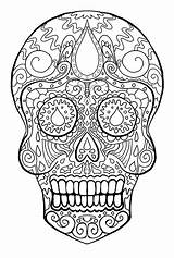 Coloring Skeleton Pages Colouring Adults Print Skull Halloween Calavera  sketch template