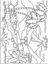 Hawaii Coloring Pages For Kids sketch template