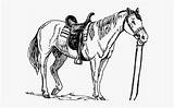 Quarter Horse Coloring Page Printable  Vrogueco sketch template