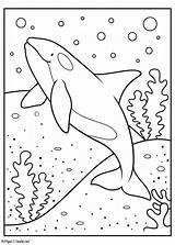 Basic Whale coloring page sketch template