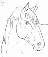 A horses Head Is Shown In Black And White sketch template