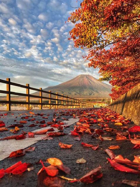 Autumn in Japan. Photo by Adel Shawy. Source plus.google.com | Autumn ...