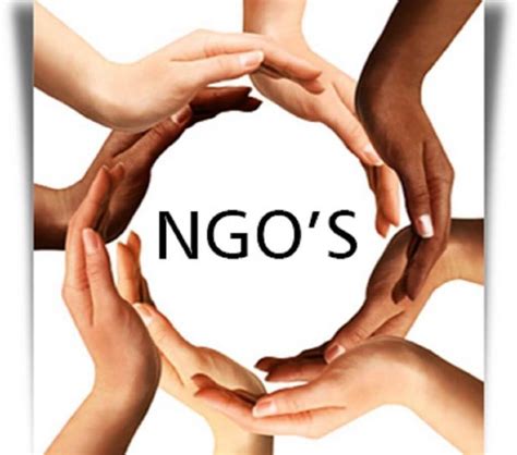 NGOs-Non-Governmental Organizations in India - DIADEMY IAS