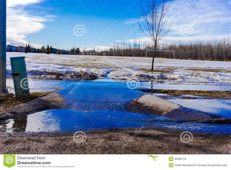 Snowmelt stock photo. Image of trees, surface, snow, park - 48482110