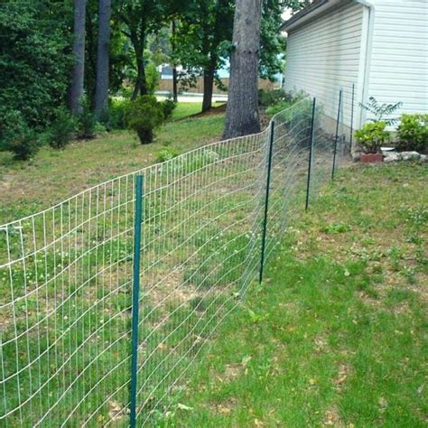 Quick and Easy Dog Fence Ideas | Social Doggy Club | Diy dog fence ...