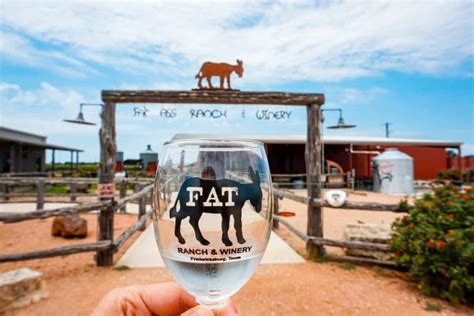 The 8 Best Wineries in Fredericksburg, Texas - Weekend Guide