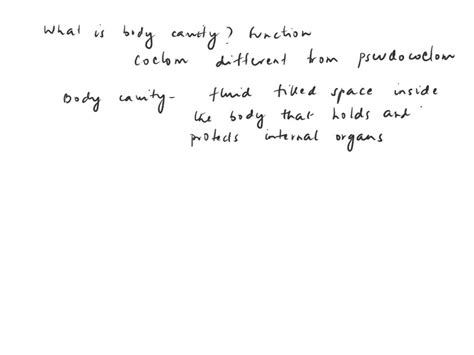 SOLVED: What is a body cavity and what is its function? How is a coelom ...