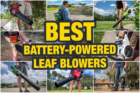 Best Cordless Leaf Blower Reviews for 2024 - PTR