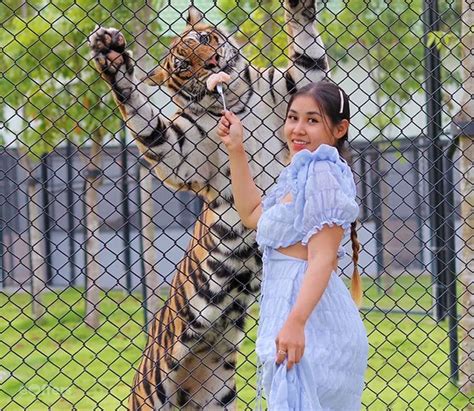 Discount ticket - Tiger World Thailand - Damnoen Saduak | we-offers.com