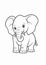 Premium Photo  Cute Baby elephant coloring Page On A4 paper sketch template