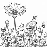 Buttercup Coloring Pages  Free & Printable sketch template