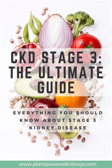 Stage 3 Kidney Disease: The Ultimate Guide to a Healthy Diet