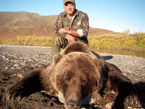 Alaska Grizzly Bear Hunt | Arctic North Guides