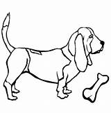 Basset Hound Coloring Pages  Best For Kids sketch template