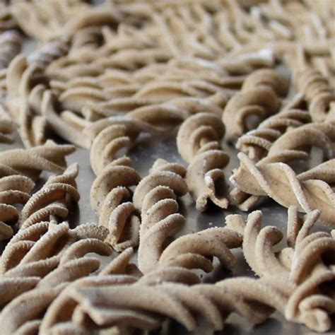 Cookistry: Morel Mushroom Pasta