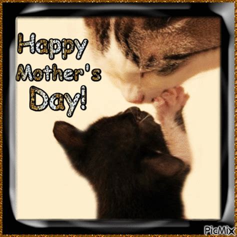 Kitten Kissing Cat - Happy Mother's Day Pictures, Photos, and Images for Facebook, Tumblr ...