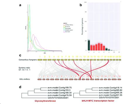 Evidences for whole-genome duplication events in O. fragrans. a 4DTV; b... | Download Scientific ...