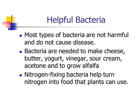 Harmful Bacteria In Food