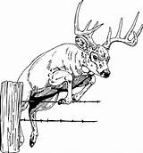 29 Best Ideas For coloring  Elk Hunting Coloring Pages sketch template
