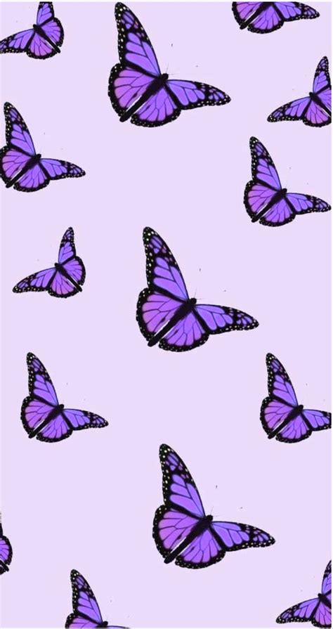 Aesthetic Purple Butterfly Background - Trending HQ Wallpapers