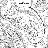 Detailed Coloring Pages Of Animals sketch template