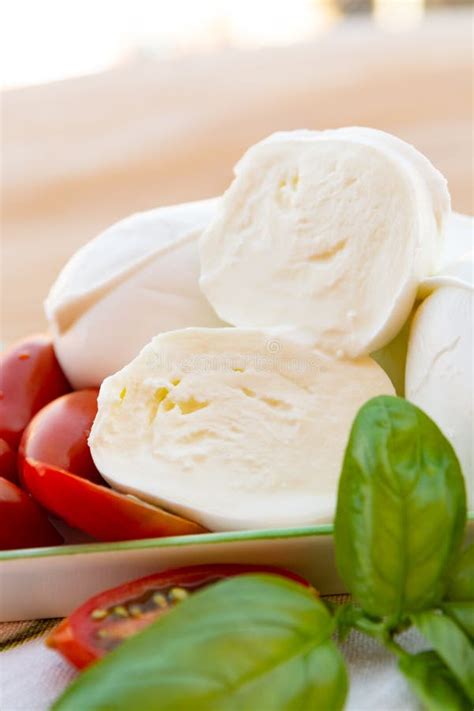 Fresh Soft Italian White Cheese Mozzarella Buffalo, Original Fro Stock ...