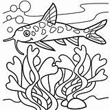 Catfish Coloring Page At GetColoringscom  Free Printable colorings sketch template