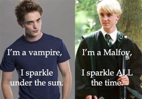 Harry Potter Meets Lolcatz | Harry potter vs twilight, Harry potter funny, Harry potter memes