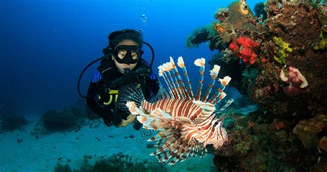 PADI Deep Diver Course in Andaman, Professional Scuba Diving Courses for Deep Diver in Andaman ...