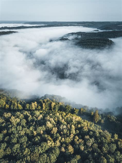 Ultimate Ardennes Hiking Guide with 20 Hiking Routes | BEY OF TRAVEL | Belgium travel, Adventure ...